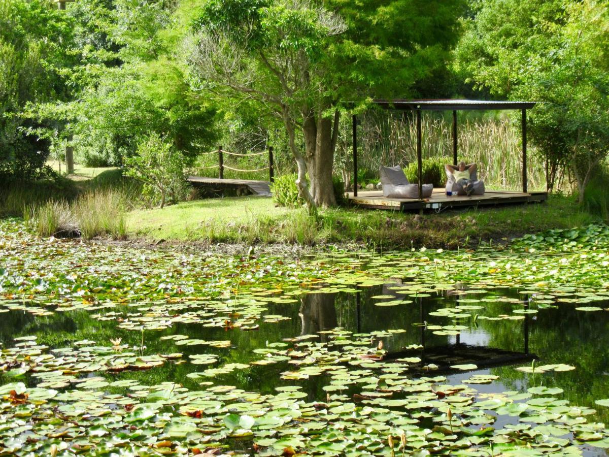 Lily Pond Country Lodge The Crags Extérieur photo